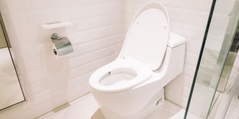 Como Desentupir Vaso Sanitário Que Caiu Objeto Dentro em Curitiba: 4 Técnicas